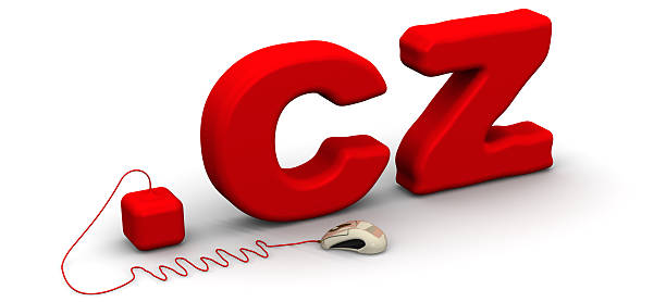 Domain Hosting